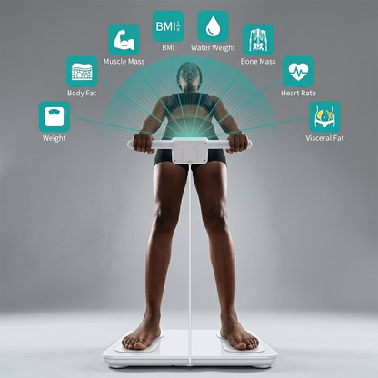 Digital Body Composition Scale